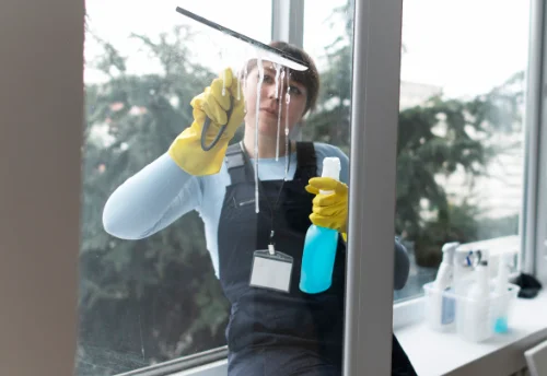 Nettoyage de vitres intérieures et extérieures à la Boissière-des-Landes